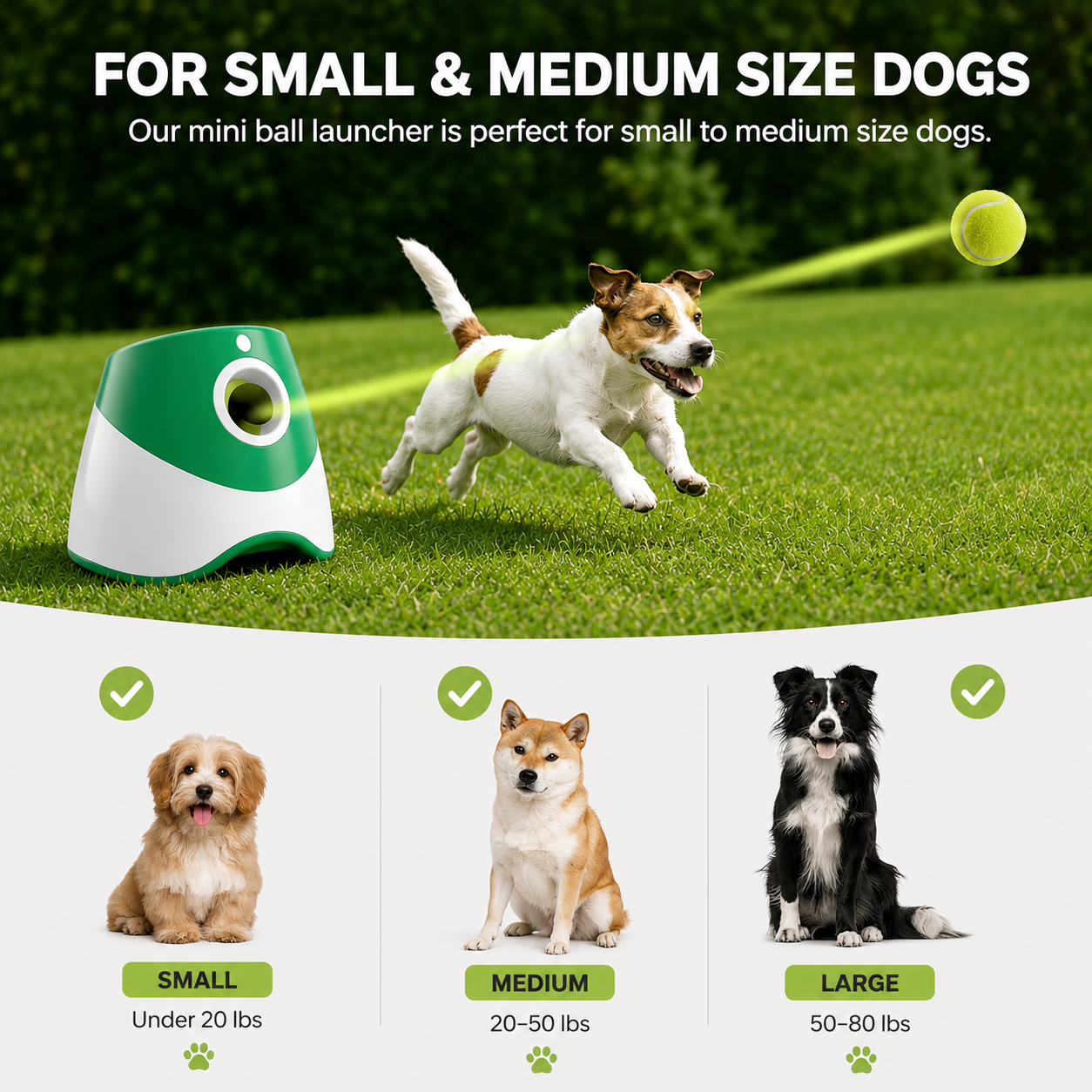 Automatic Dog Ball Launcher