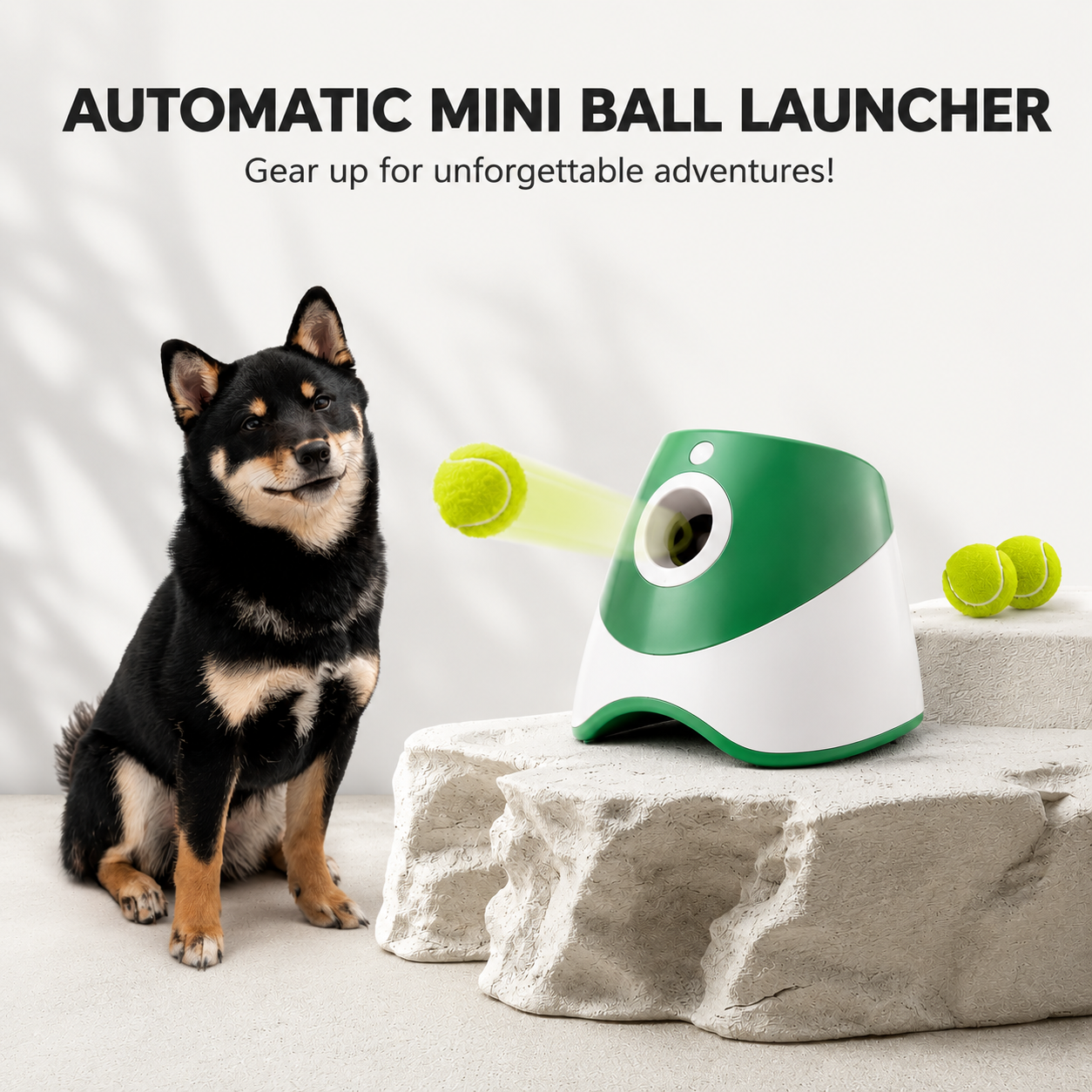 Automatic Dog Ball Launcher